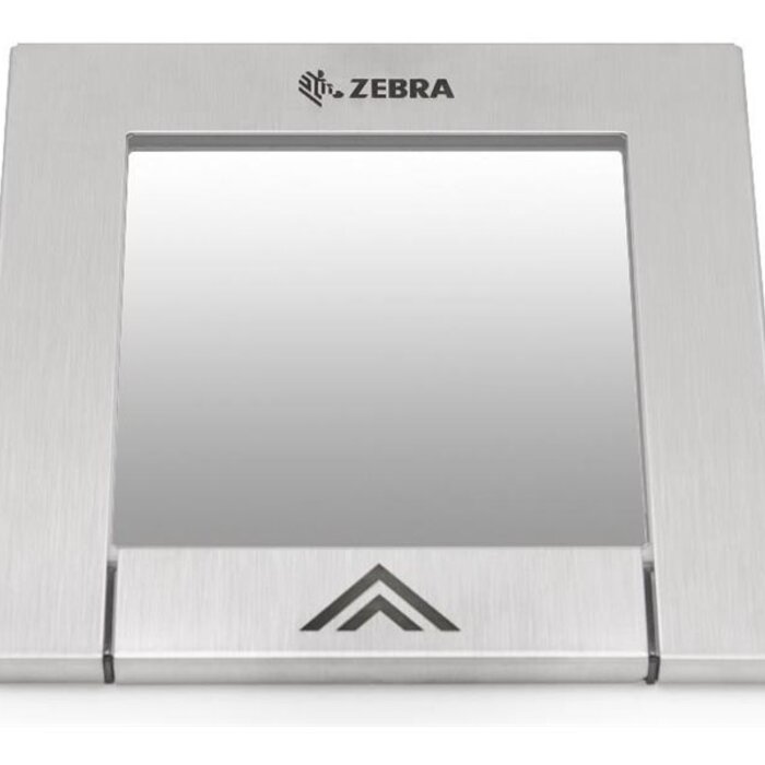 Zebra Piatto in vetro zebrato | MISC-DG0072