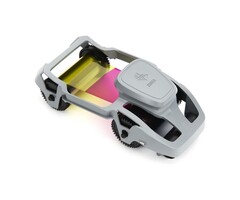 Zebra Nastro zebrato, YMCKO