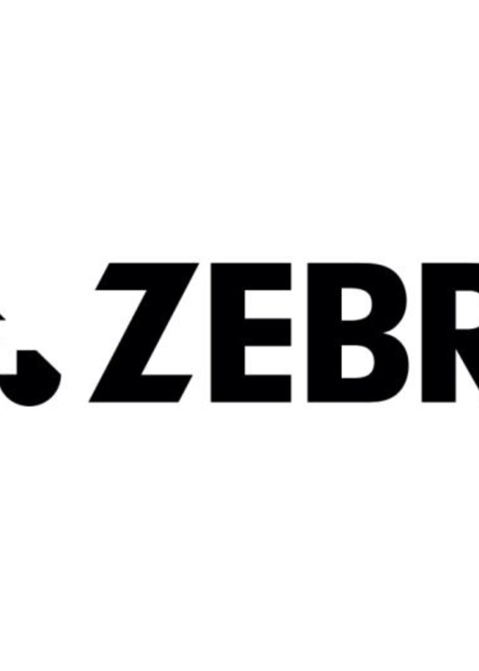 Zebra Zebra Kit Convert 300 to 203dpi | P1046696-006