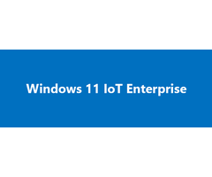 MICROSOFT MS0 EP2-07328-Windows 11 IoT Ent. LTSC 2024, ingresso