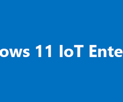 MICROSOFT MS0 EP2-07324- Windows 11 IoT Ent. LTSC 2024, Waarde