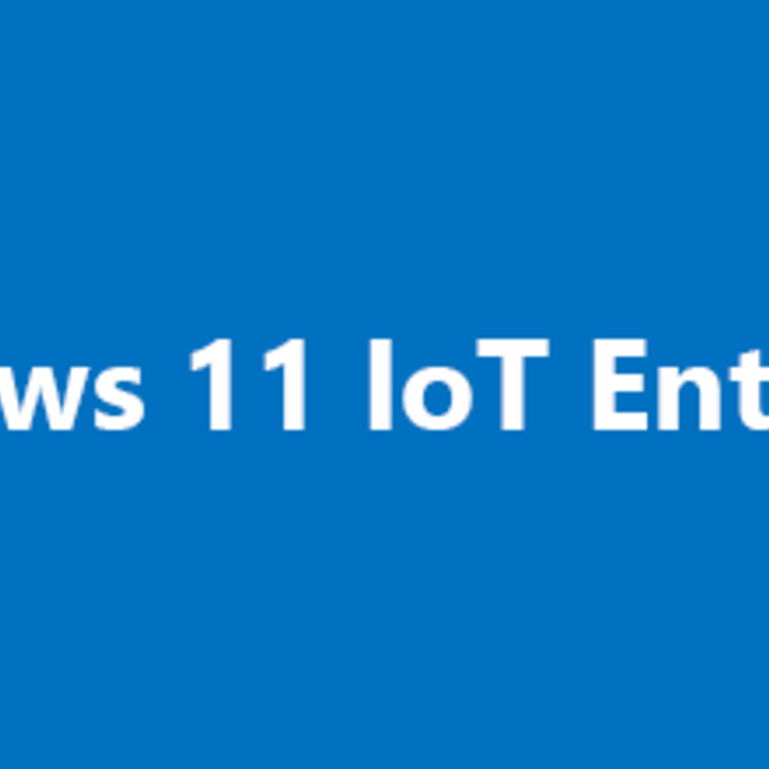 MICROSOFT MS0 EP2-07324- Windows 11 IoT Ent. LTSC 2024, Valeur