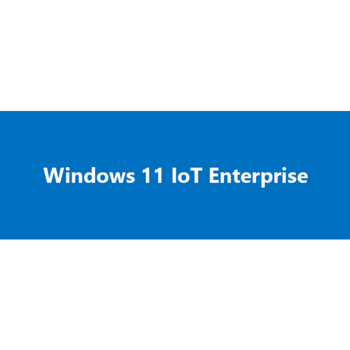 MICROSOFT Windows 11 IoT Ent. LTSC 2024, Valore