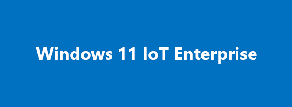 MICROSOFT Windows 11 IoT Ent. LTSC 2024, Valor
