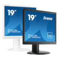 iiyama ProLite B19