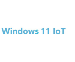 ADVANTECH 968TW1124EL0XE - Advantech Windows 11 IoT Ent. LTSC 2024, Entry