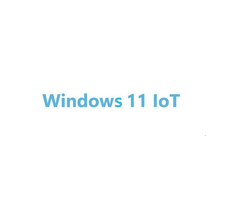 ADVANTECH 968TW1124EL0XE - Advantech Windows 11 IoT Ent. LTSC 2024, nivel básico