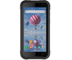 BLUEBIRD EF550R-ANLJ - Bluebird EF550R, 2D, SE4710, 14cm (5,5''), hot-swap, USB-C, BT (BLE, 5.0), WLAN, NFC, Android, RB