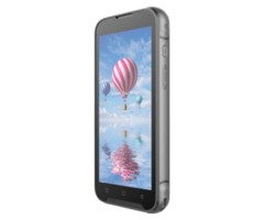 BLUEBIRD EF551-ANLF - Bluebird EF551, 2D, SE4710, 14 cm (5,5''), hot-swap, USB-C, BT (BLE), WLAN, NFC, Android, GMS, RB