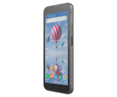BLUEBIRD Bluebird HF550X, RFID 800MHz, 2D, SE4100, 14cm (5.5''), RFID, USB-C, BT (BLE, 5.0), WLAN, NFC, Android, GMS, RB