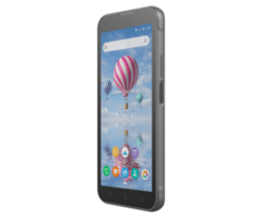 BLUEBIRD Bluebird HF550X, RFID 900 MHz, sin GMS, 2D, SE4100, 14 cm (5,5''), RFID, USB-C, Bluetooth (BLE, 5.0), WLAN, NFC, Android, RB