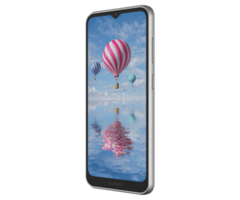 BLUEBIRD Bluebird SF650, 16,5 cm (6,5''), GPS, USB-C, Bluetooth (BLE, 5.1), Wi-Fi, 4G, NFC, Android, GMS, RB