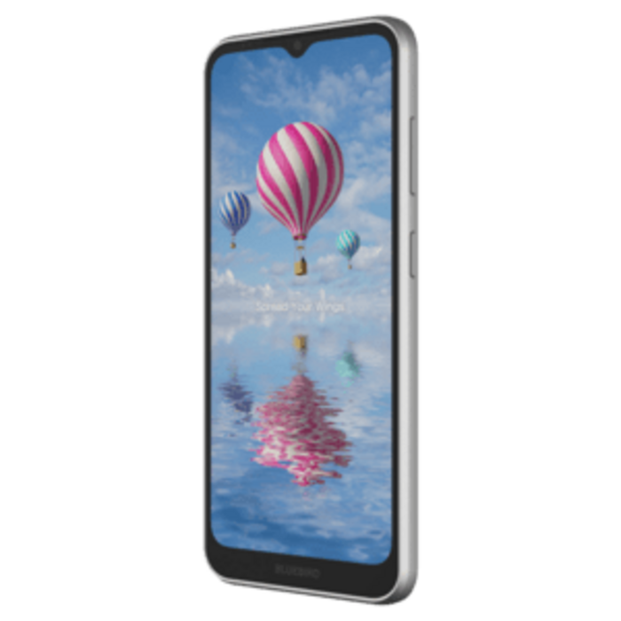 BLUEBIRD SF650-A4LAW - Bluebird SF650, 16,5 cm (6,5''), GPS, USB-C, BT (BLE, 5.1), WLAN, 4G, NFC, Android, GMS, RB