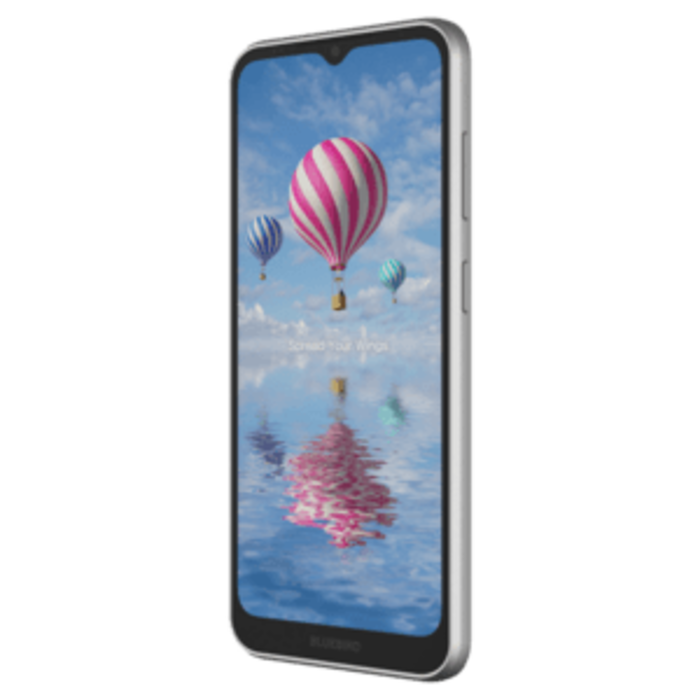 BLUEBIRD Bluebird SF650, 16,5 cm (6,5''), GPS, USB-C, Bluetooth (BLE, 5.1), WLAN, 4G, NFC, Android, GMS, RB, 4 GB RAM / 32 GB Flash