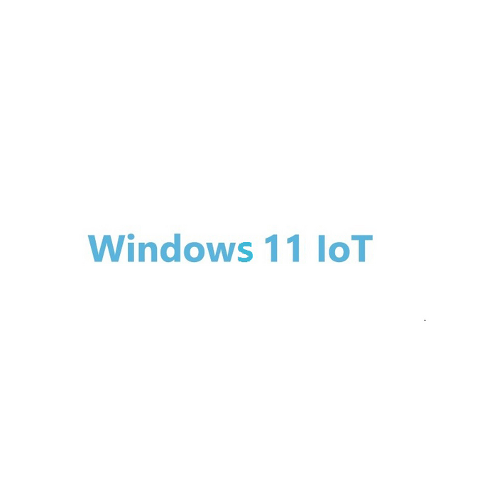 ADVANTECH Advantech Windows 11 IoT Ent. LTSC 2024, nivel básico, Windows 11 IoT Enterprise LTSC 2024