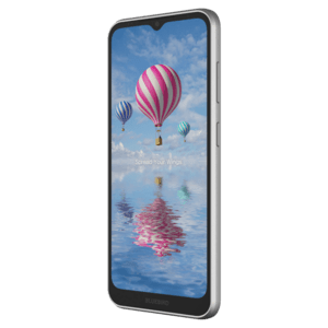 BLUEBIRD Bluebird SF650, 16,5 cm (6,5''), GPS, USB-C, Bluetooth (BLE, 5.1), WLAN, 4G, NFC, Android, GMS, RB, 4 GB RAM / 32 GB Flash