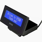 Epson DM-D30