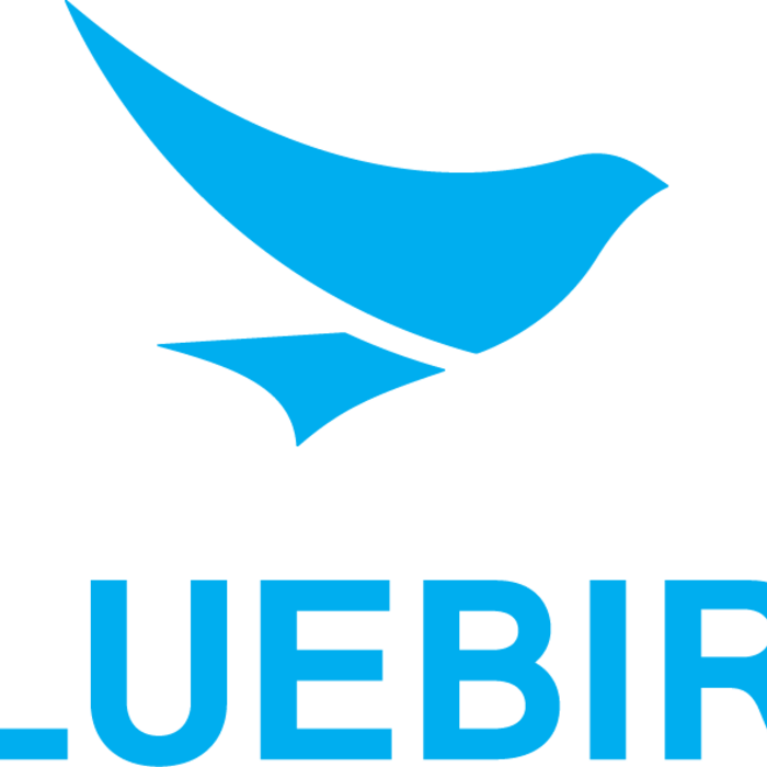 BLUEBIRD 204010086 - Base Bluebird de una sola ranura para carga, sin compartir