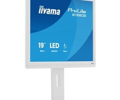 IIYAMA B1980S-W1 - iiyama ProLite B1980S-W1, 48,3 cm (19''), cavo, bianco