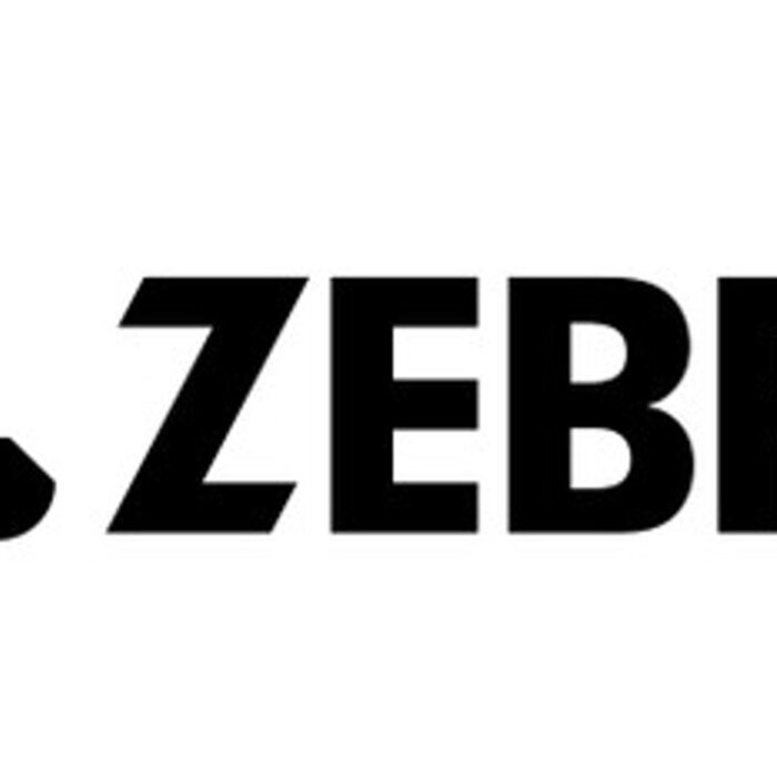 Zebra CRD-TC2R-BS4CG-01 - Zebra 4-Slot Oplaadstation