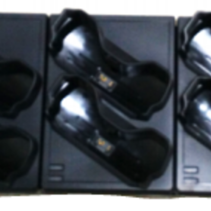 Zebra CRD-NGWT-10SCH-02 - Zebra laadstation, 10 slots