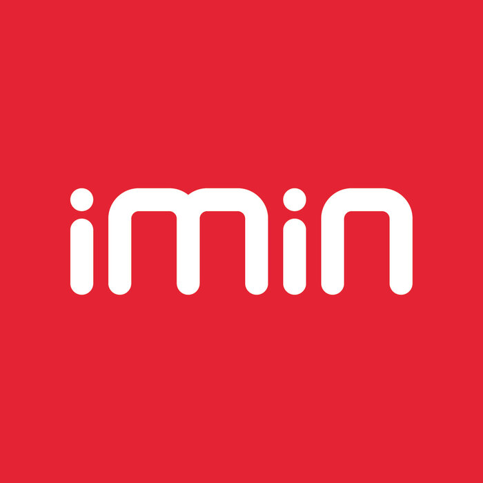 iMin iMin Swan 1 Display – DS1-21 – 10.1" HD – Gris – Cable corto – SKU DS121A001