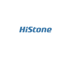 HISTONE HiStone Kundendisplay 10,4'' ohne Touch