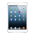 iPad Mini reparatie iPad Mini reparatie