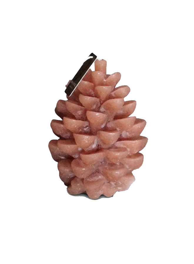 Candle Pine Cone L - Terra