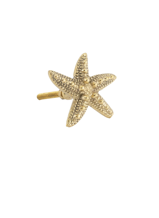 Ruby Seastar Doing Goods