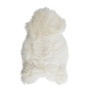 Sheepskin (Texel)