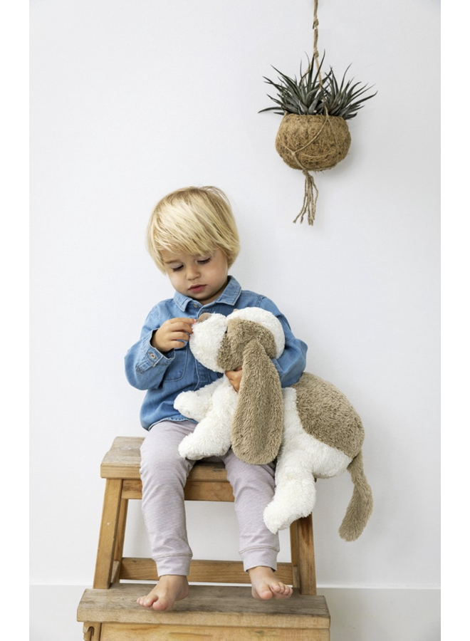 Dog David 3 - Happy Horse