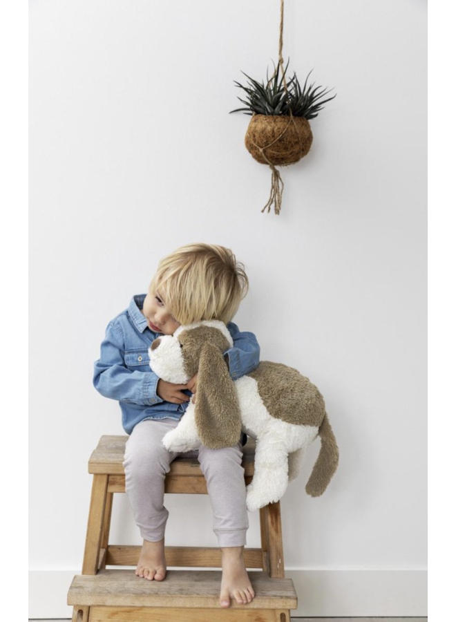 Dog David 3 - Happy Horse