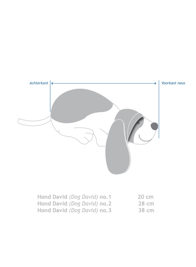 Dog David 3 - Happy Horse