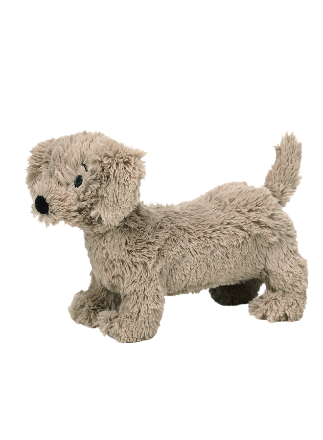 Dachshund Duke No. 1 Happy Horse