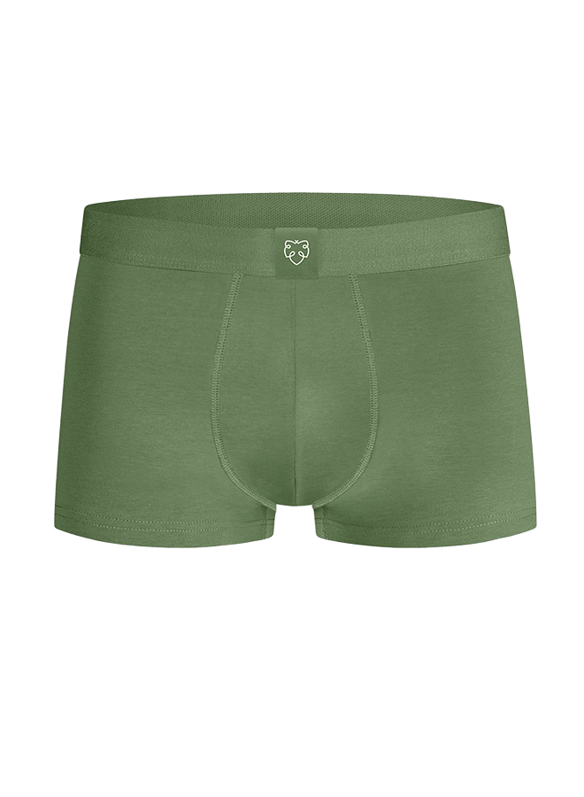 A-dam Trunk Bronze Green