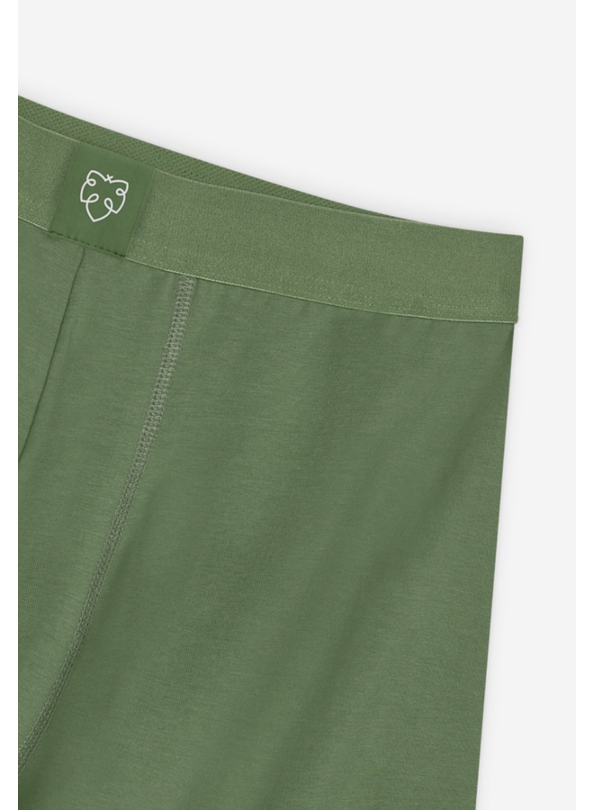 A-dam Trunk Bronze Green