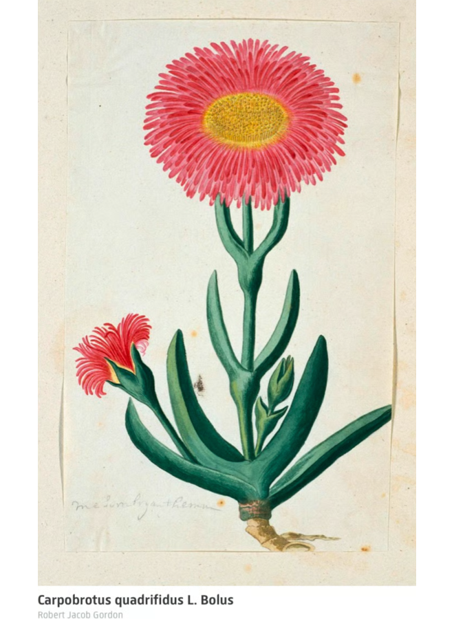 Linen Wall Hanging/Cloth Depicting Girl and Flower 150x185