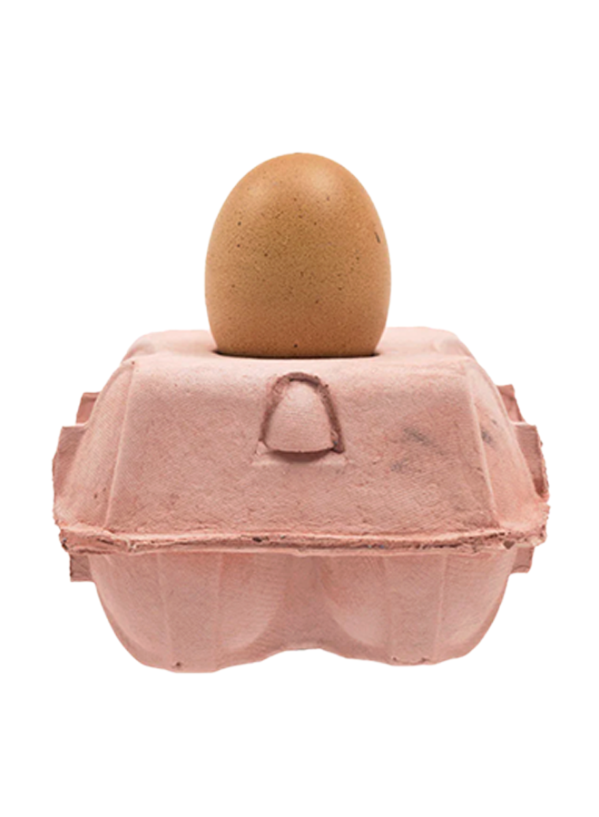 Egg lamp base rose, incl. egglamp