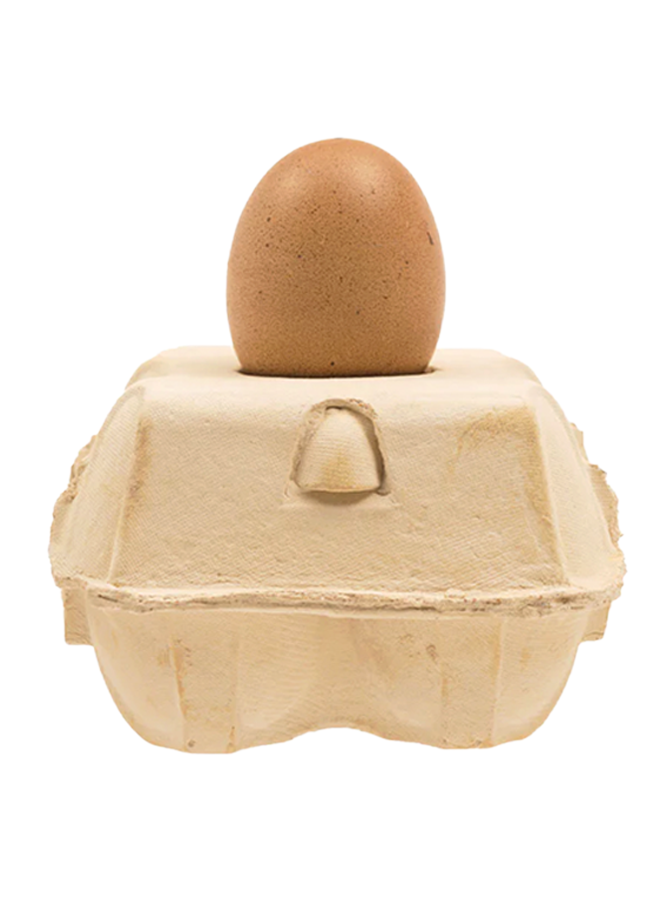 Egg lamp base corn, incl. egglamp