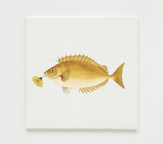 Cadeaus € 25,- tot € 50,-