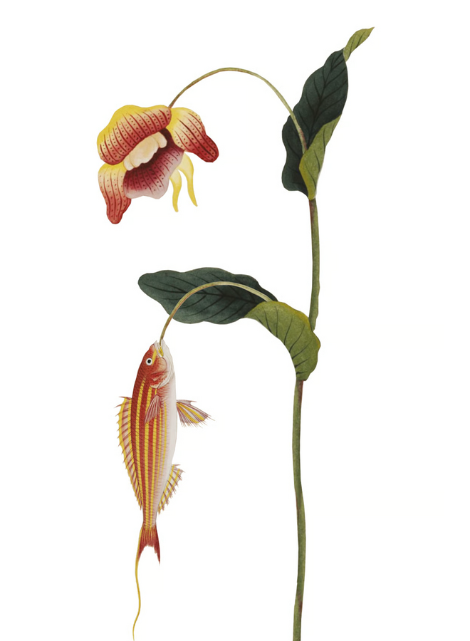 Wall tile collage Naturalis collectie - the Shining