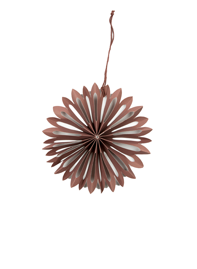 Paper Star S Mrs Bloom