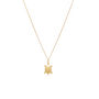Ellen Beekmans Ketting met schildpadhanger