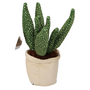 Plant XL 45 cm. stof