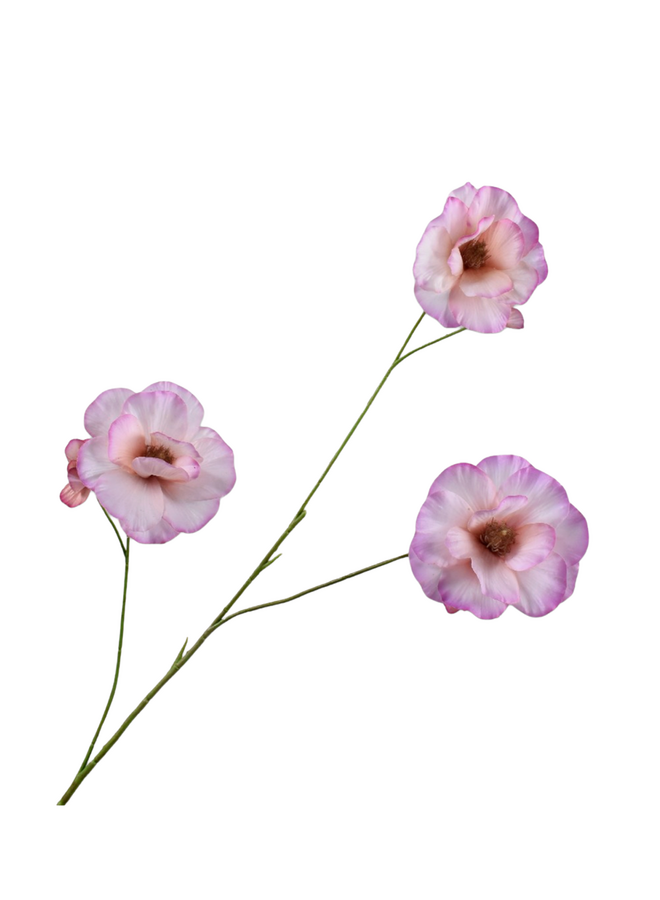 Silk-Ka LISIANTHUS TAK ROZ/CR RT 96 cm