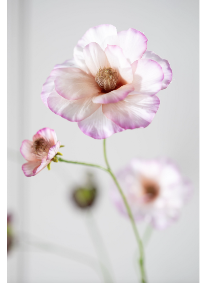 Silk-Ka LISIANTHUS TAK ROZ/CR RT 96 cm