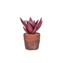 Terracotta Love - artificiele plant in terracotta pot,  dia 19,5 x 24,5 cm.