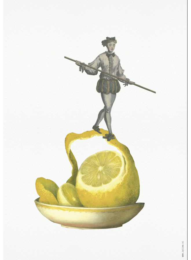 Art Print A4 collage Museum collectie citroen koorddansen