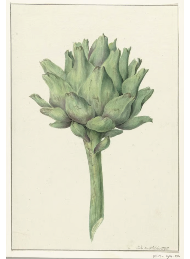 Art Print A4 collage Museum collectie dame artichoke hoofd